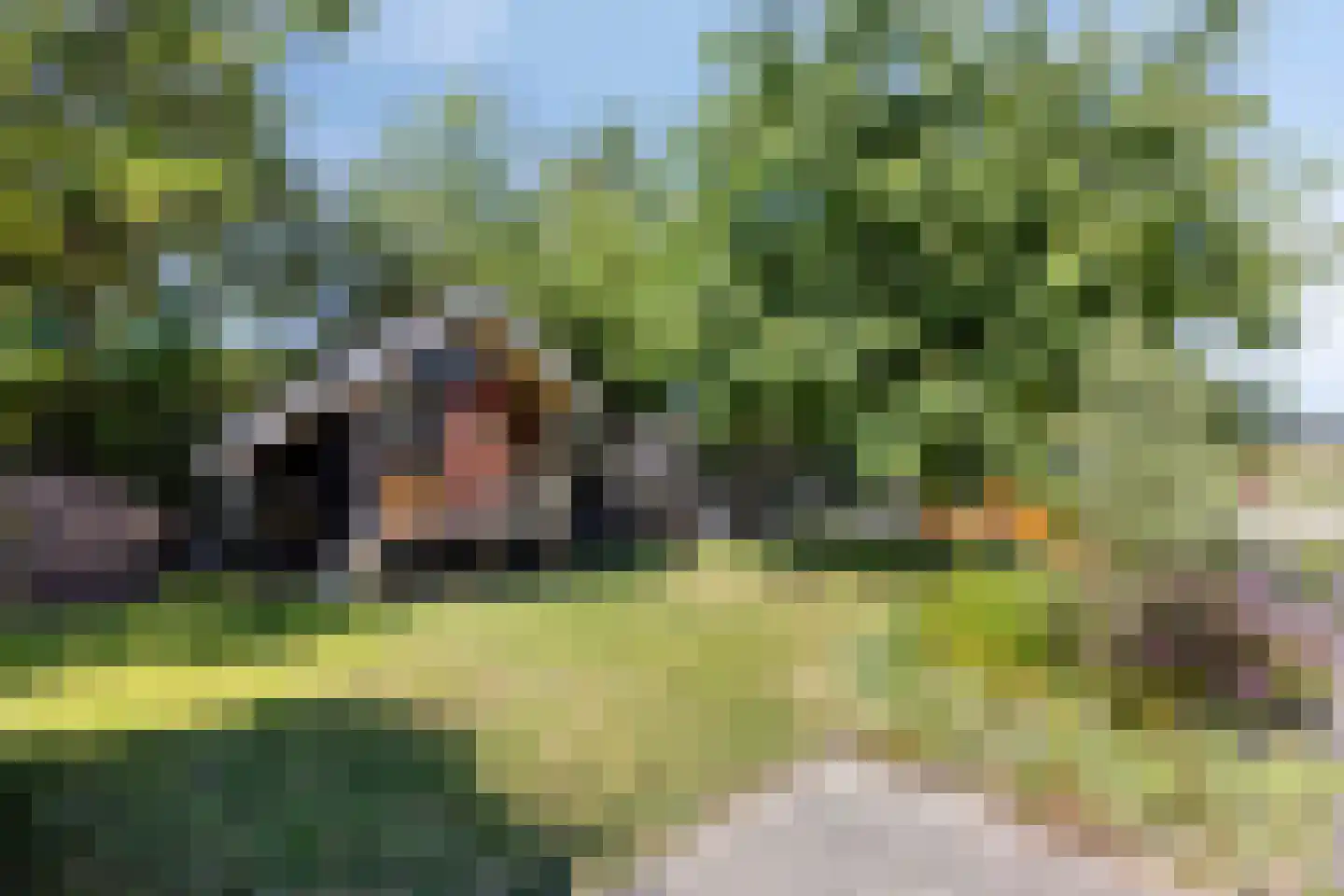 Voorweg 1 c Vierpolders thumbnail 32