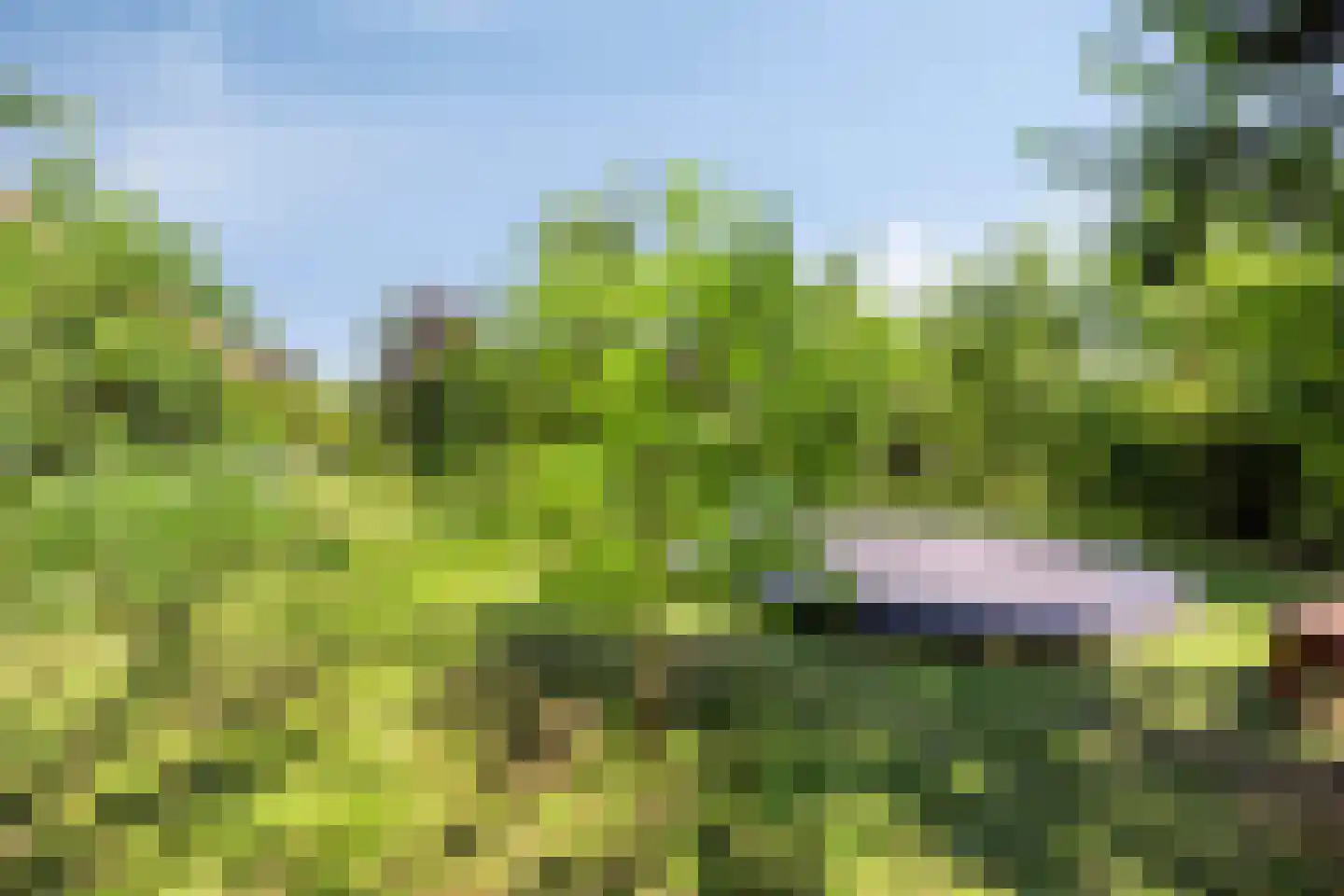Voorweg 1 c Vierpolders thumbnail 36
