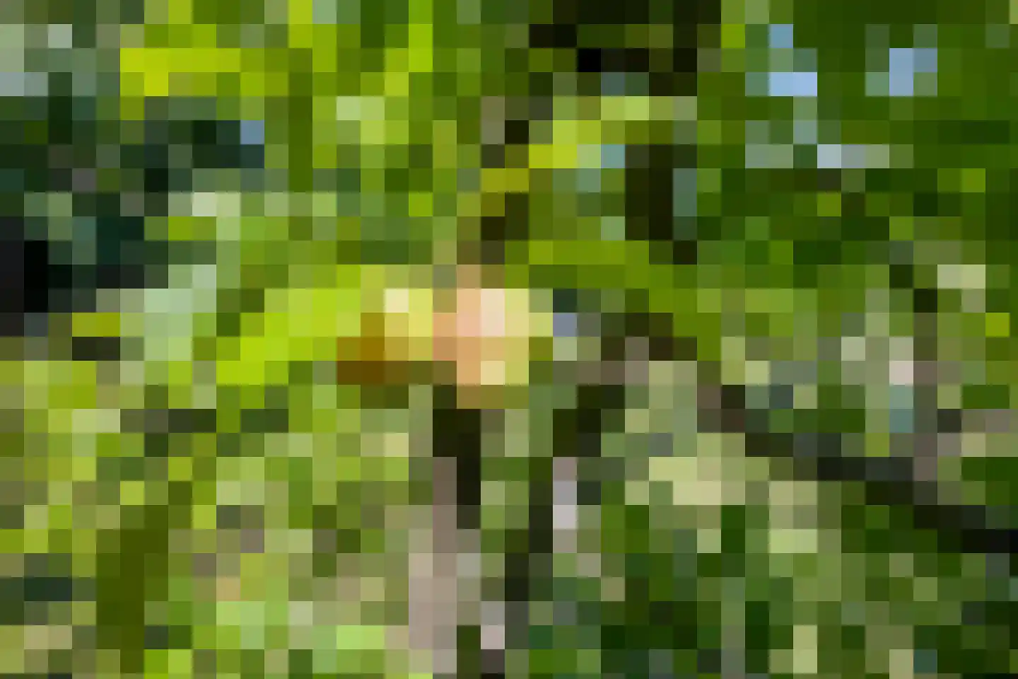 Voorweg 1 c Vierpolders thumbnail 37