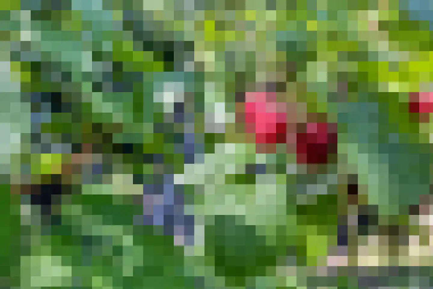 Voorweg 1 c Vierpolders thumbnail 38