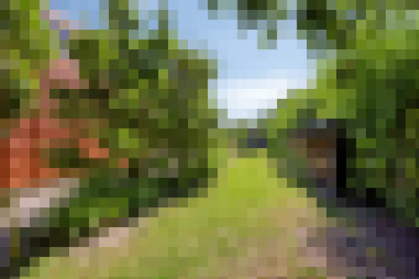 Voorweg 1 c Vierpolders thumbnail 40