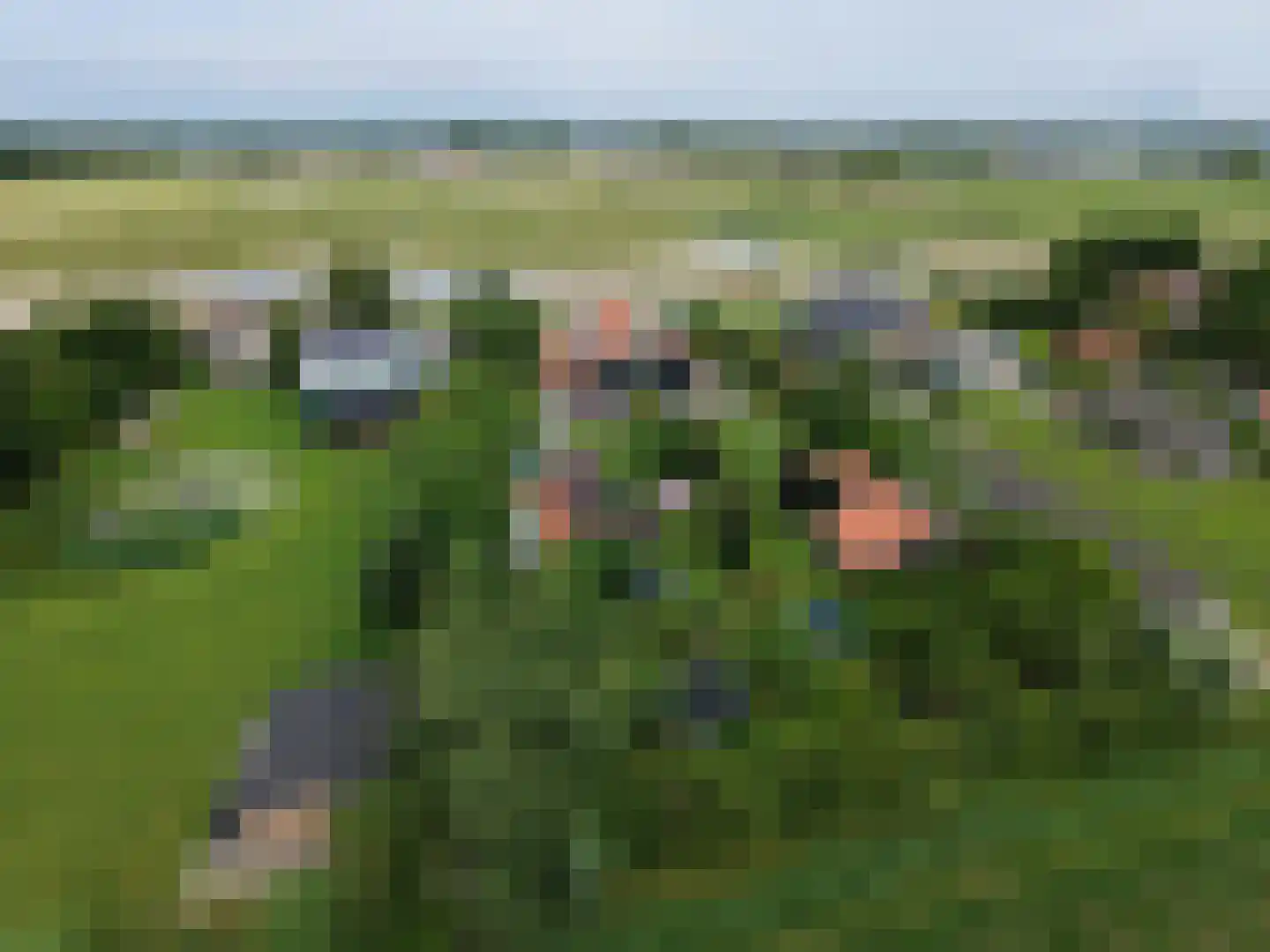 Voorweg 1 c Vierpolders thumbnail 43