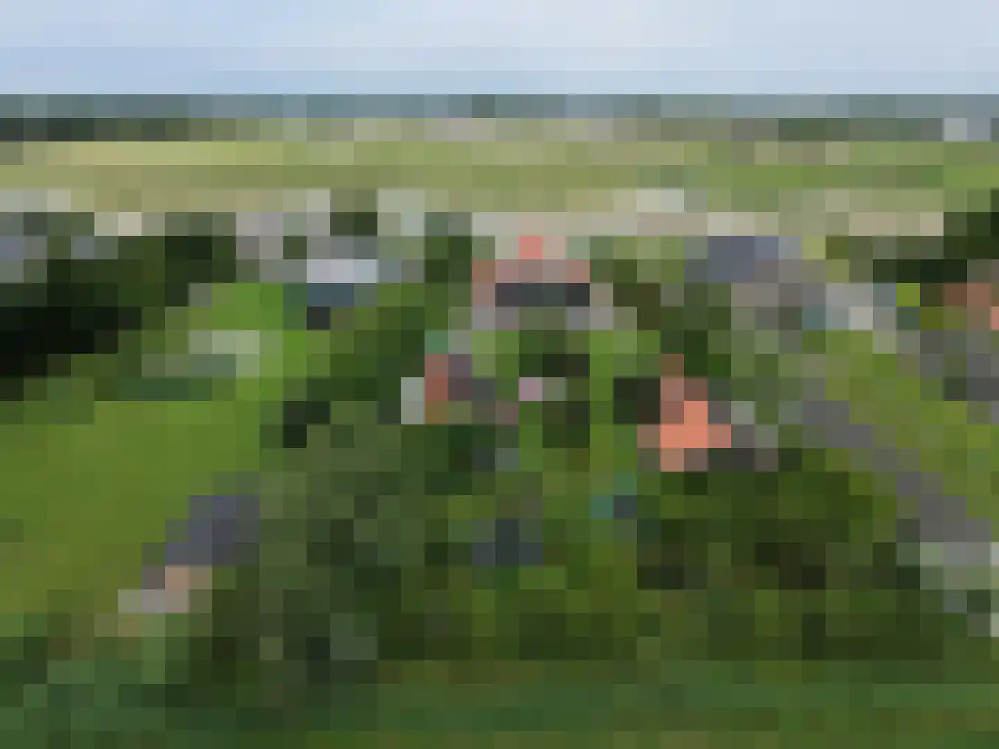 Voorweg 1 c Vierpolders thumbnail 6