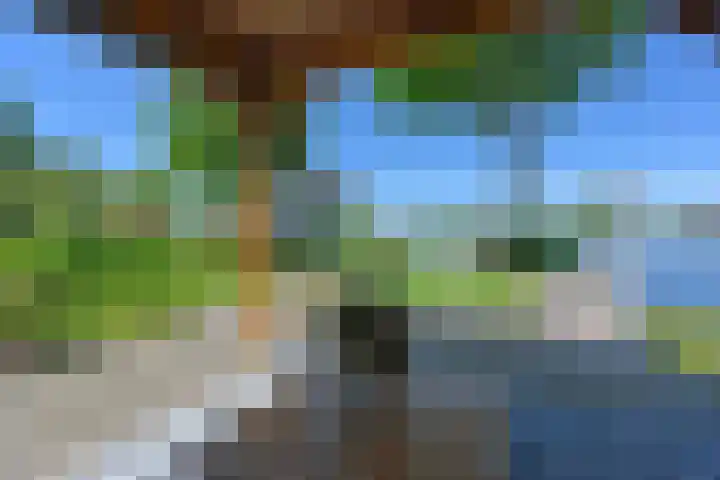 Voorweg 103 Noorden thumbnail 36