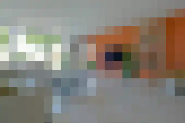 Voorweg 103 Noorden thumbnail 5