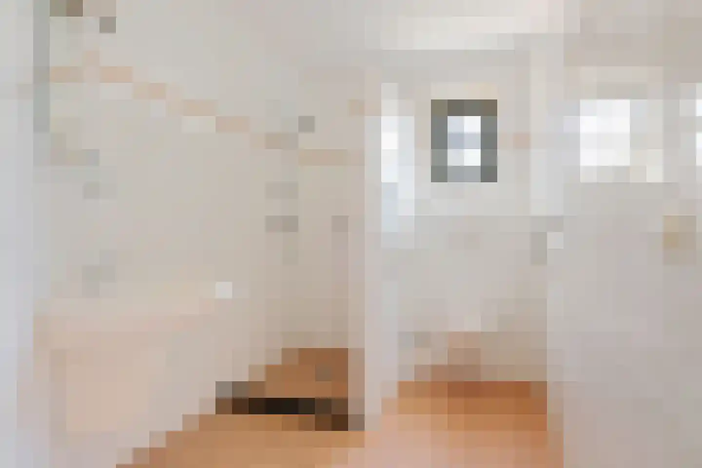 Voorweg 104 a Schoorl thumbnail 17