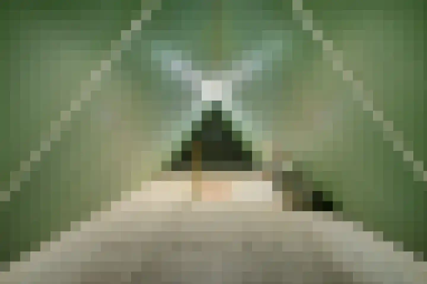 Voorweg 104 a Schoorl thumbnail 34