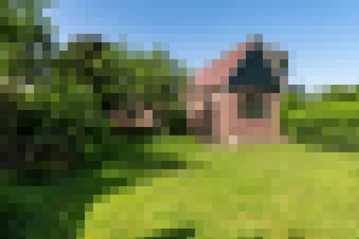 Voorweg 104 a Schoorl thumbnail 37