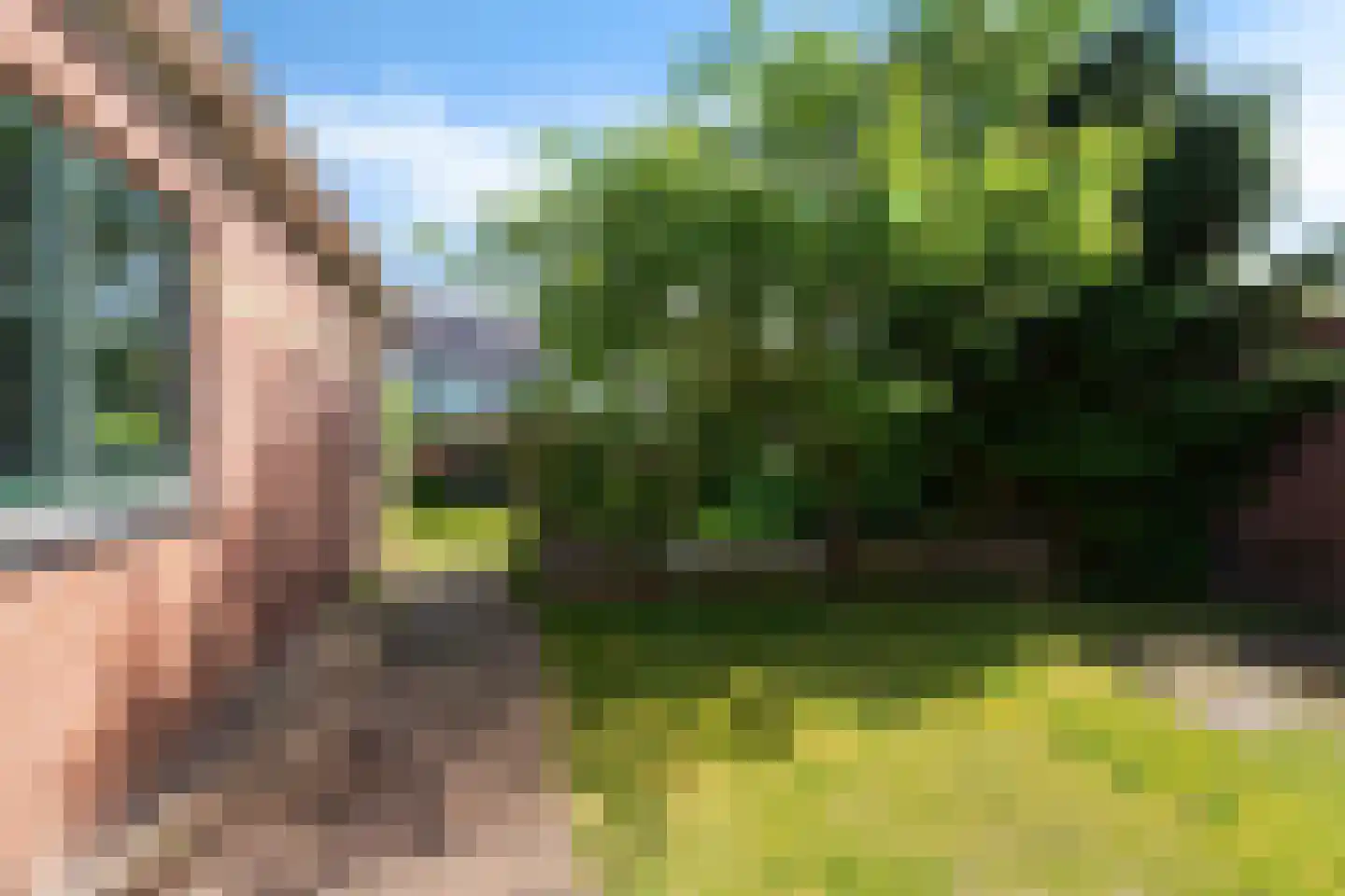 Voorweg 104 a Schoorl thumbnail 42