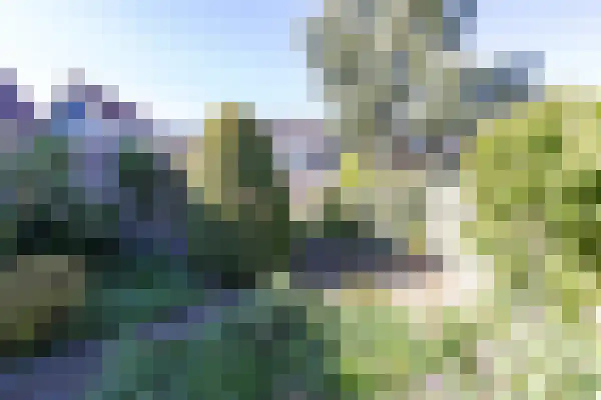 Voorweg 106 Schoorl thumbnail 34