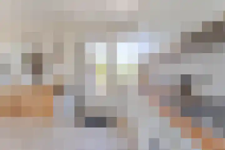 Voorweg 112 Hazerswoude-Dorp thumbnail 10