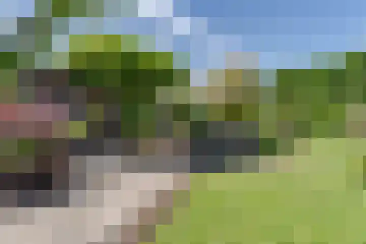Voorweg 112 Hazerswoude-Dorp thumbnail 11
