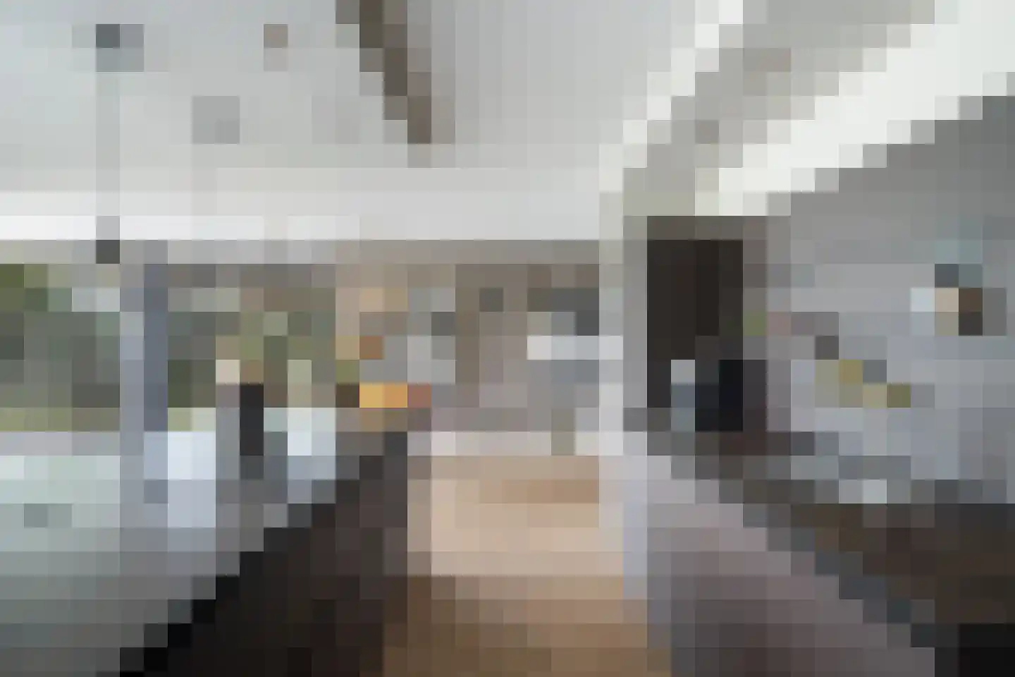 Voorweg 113 K Zoetermeer thumbnail 15