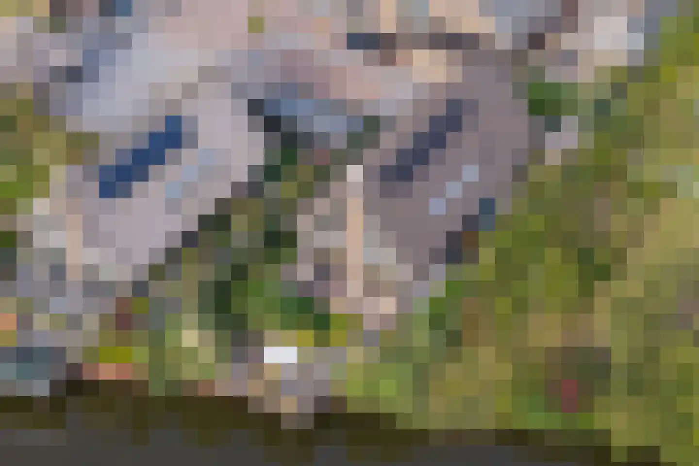 Voorweg 113 K Zoetermeer thumbnail 23