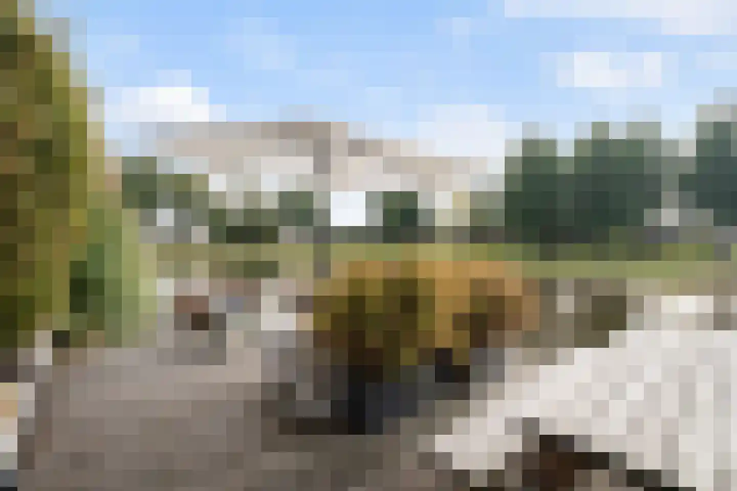 Voorweg 113 K Zoetermeer thumbnail 27