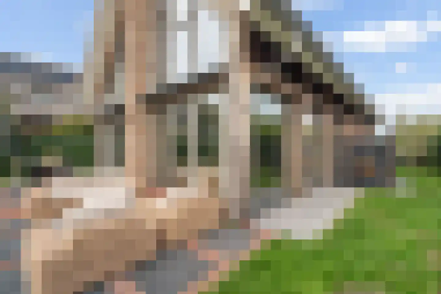 Voorweg 113 K Zoetermeer thumbnail 30