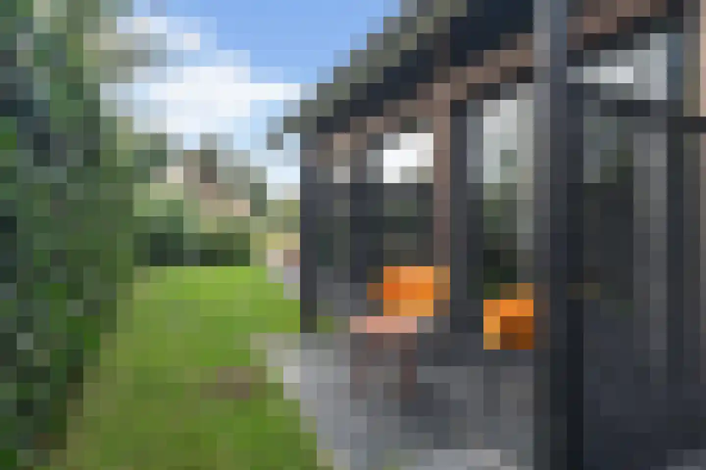Voorweg 113 K Zoetermeer thumbnail 31