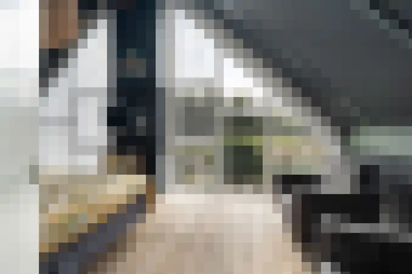 Voorweg 113 K Zoetermeer thumbnail 37