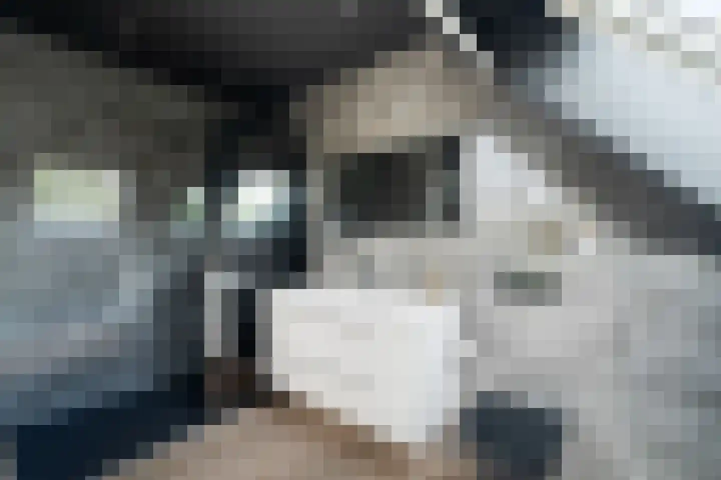 Voorweg 113 K Zoetermeer thumbnail 41