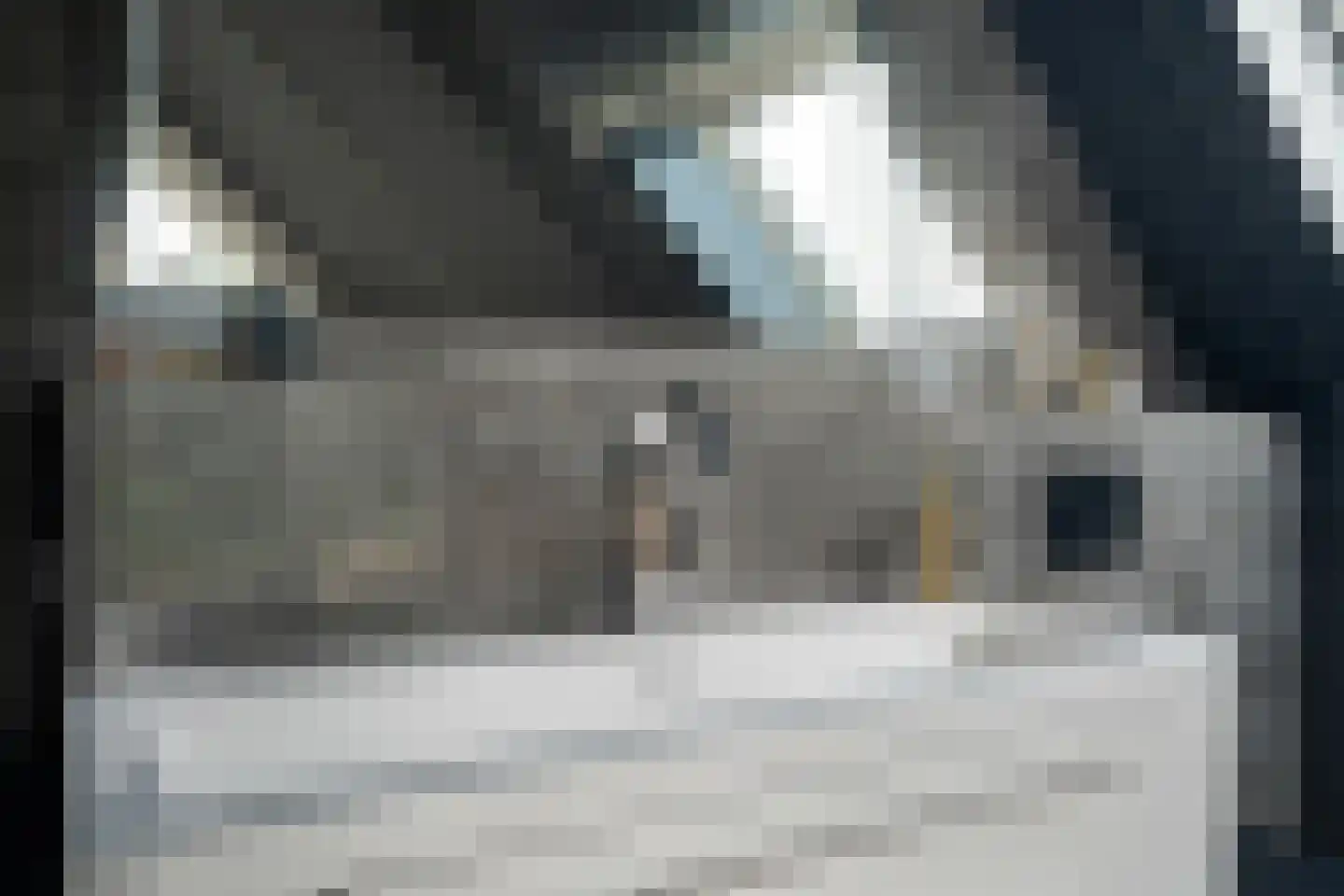 Voorweg 113 K Zoetermeer thumbnail 42
