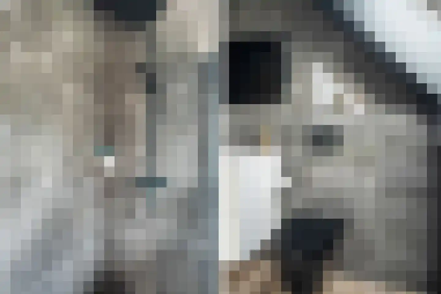 Voorweg 113 K Zoetermeer thumbnail 43