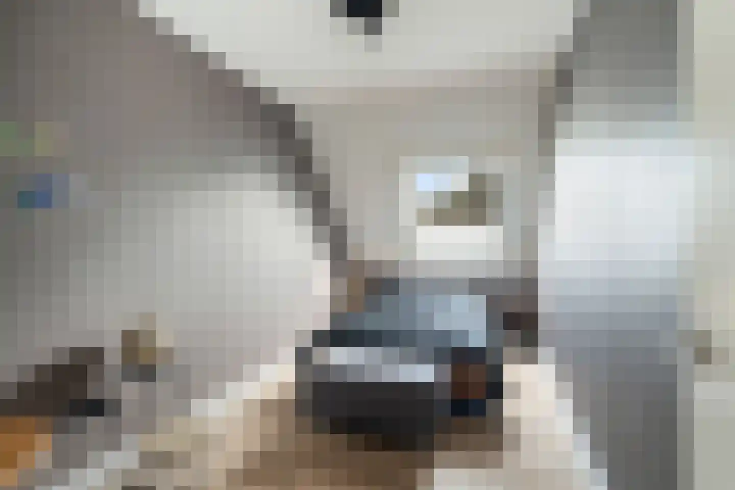 Voorweg 113 K Zoetermeer thumbnail 46