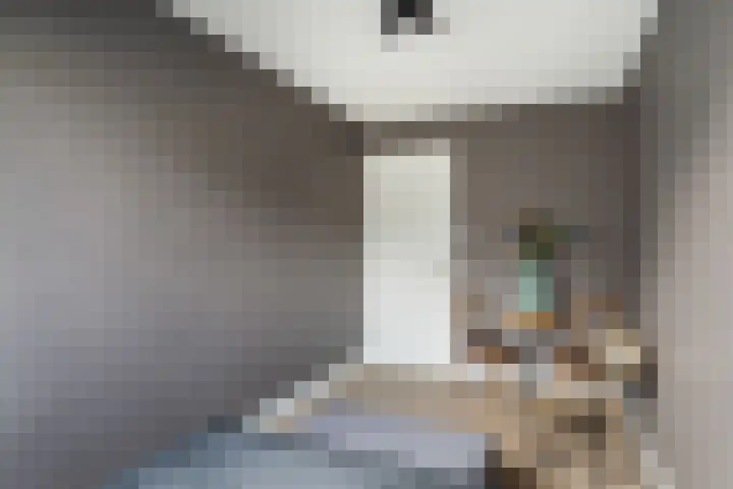 Voorweg 113 K Zoetermeer thumbnail 47