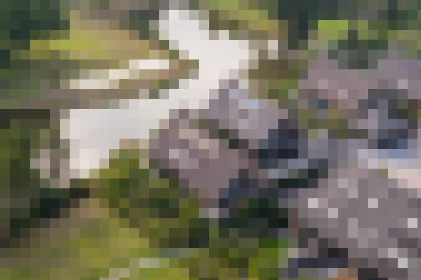 Voorweg 113 K Zoetermeer thumbnail 58
