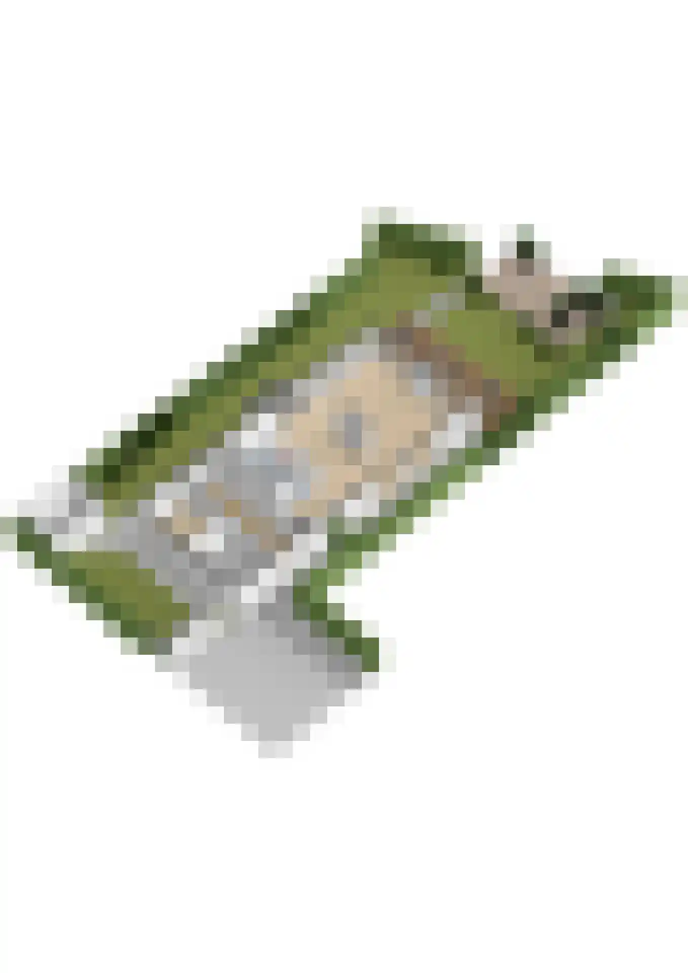 Voorweg 113 K Zoetermeer thumbnail 69