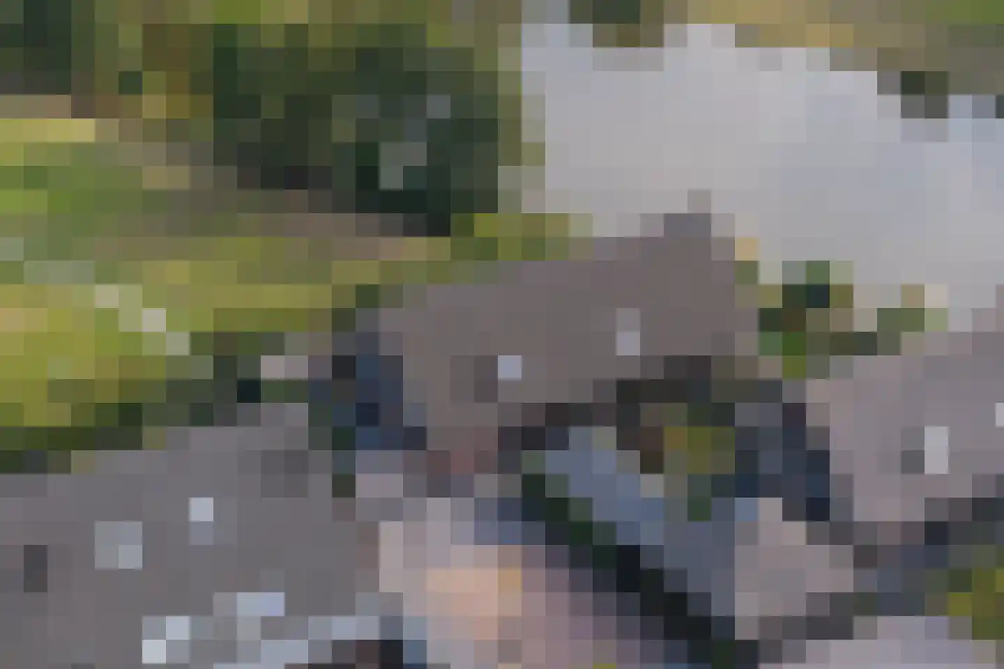 Voorweg 113 K Zoetermeer thumbnail 7