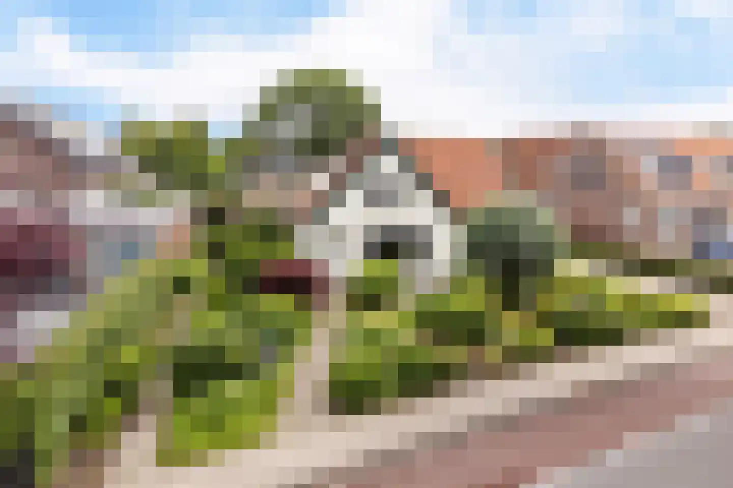 Voorweg 116 in Schoorl