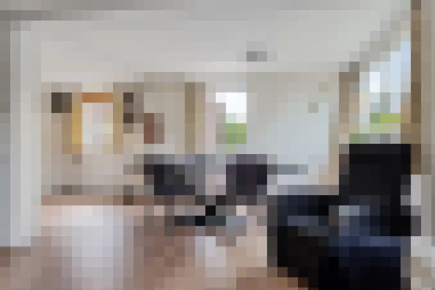 Voorweg 116 Schoorl thumbnail 11
