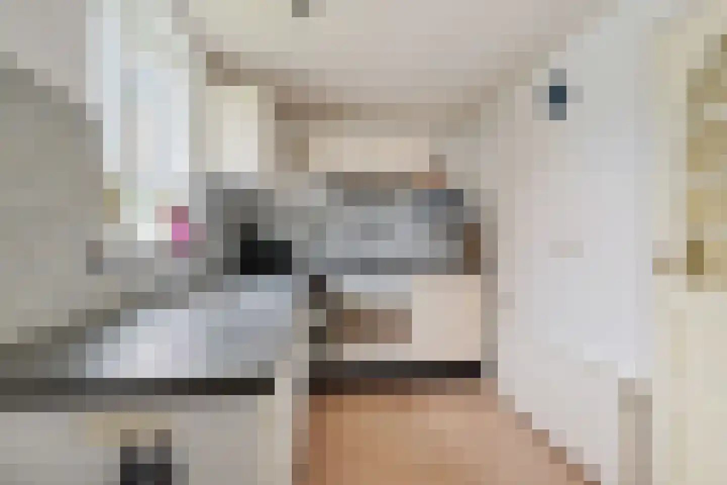 Voorweg 116 Schoorl thumbnail 13