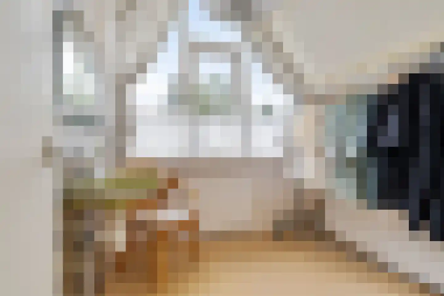 Voorweg 116 Schoorl thumbnail 23