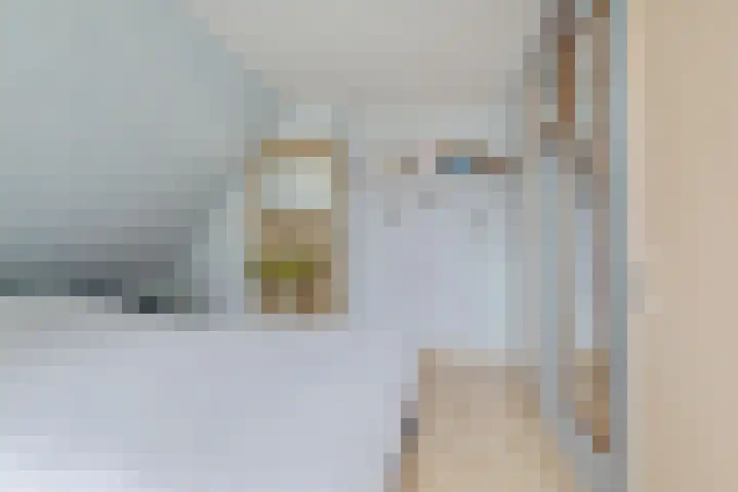 Voorweg 116 Schoorl thumbnail 25