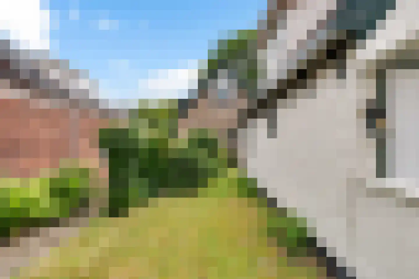 Voorweg 116 Schoorl thumbnail 27