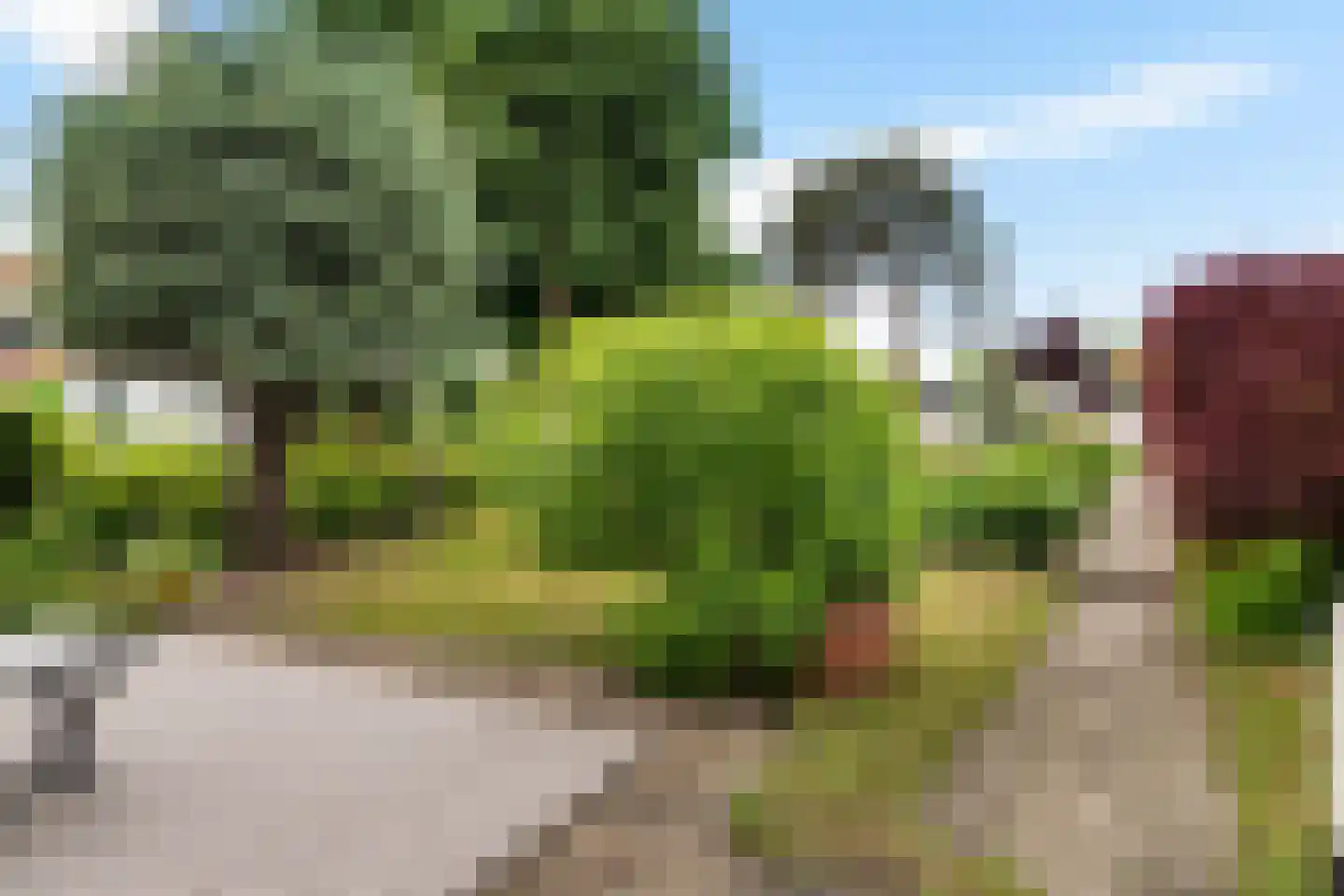 Voorweg 116 Schoorl thumbnail 28