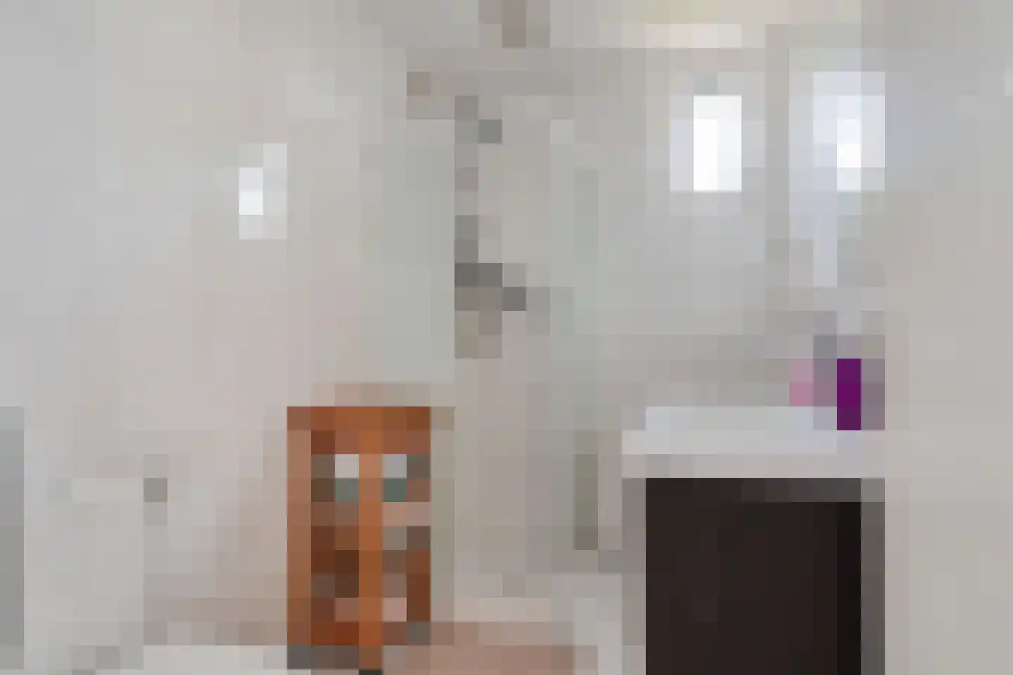 Voorweg 116 Schoorl thumbnail 38