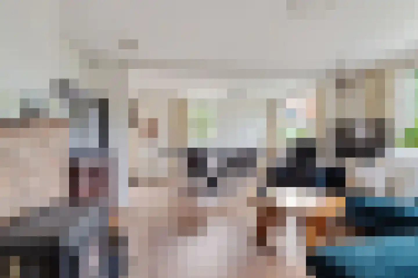 Voorweg 116 Schoorl thumbnail 8