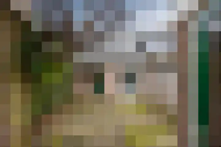 Voorweg 124 Zoetermeer thumbnail 26