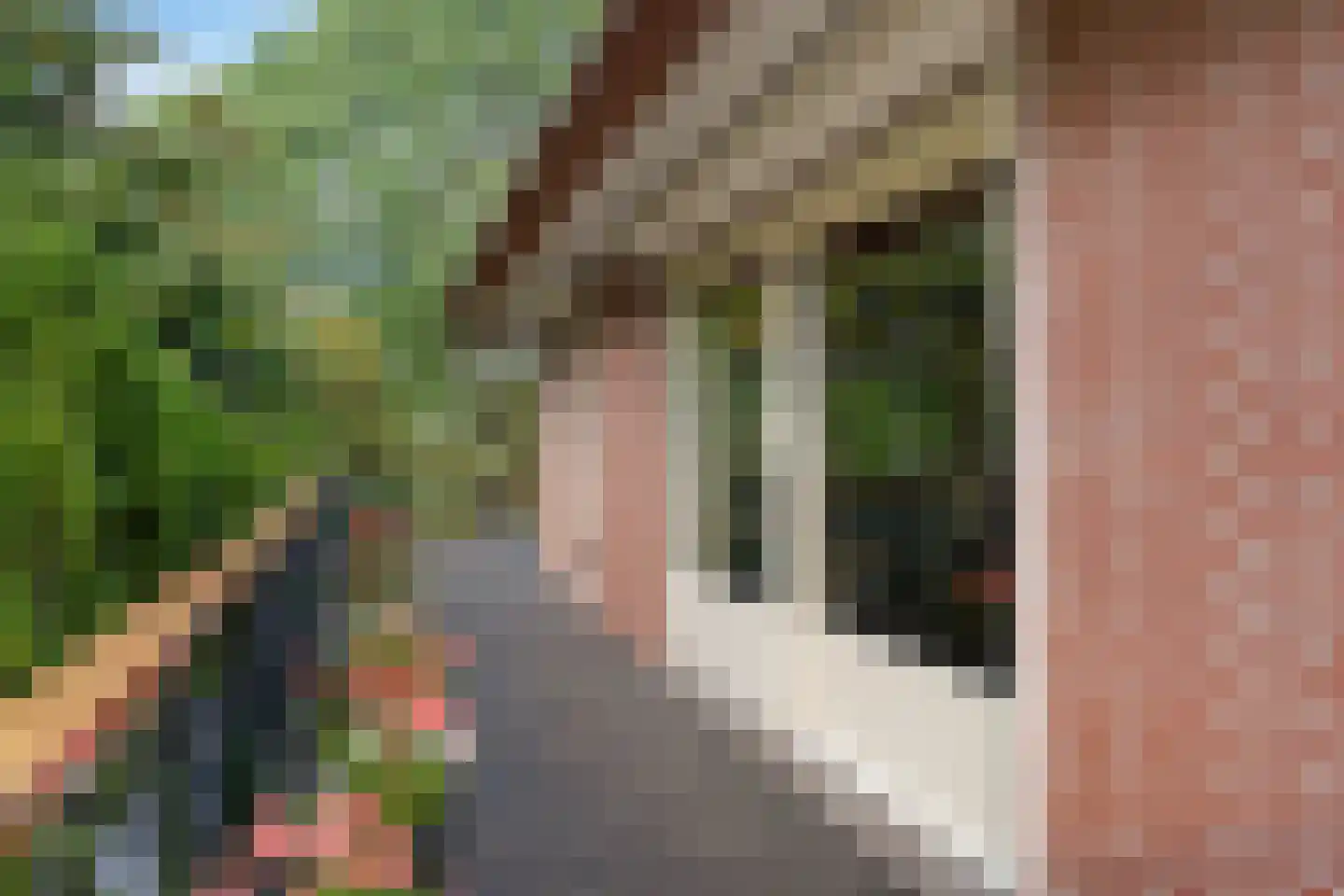 Voorweg 124 Zoetermeer thumbnail 29