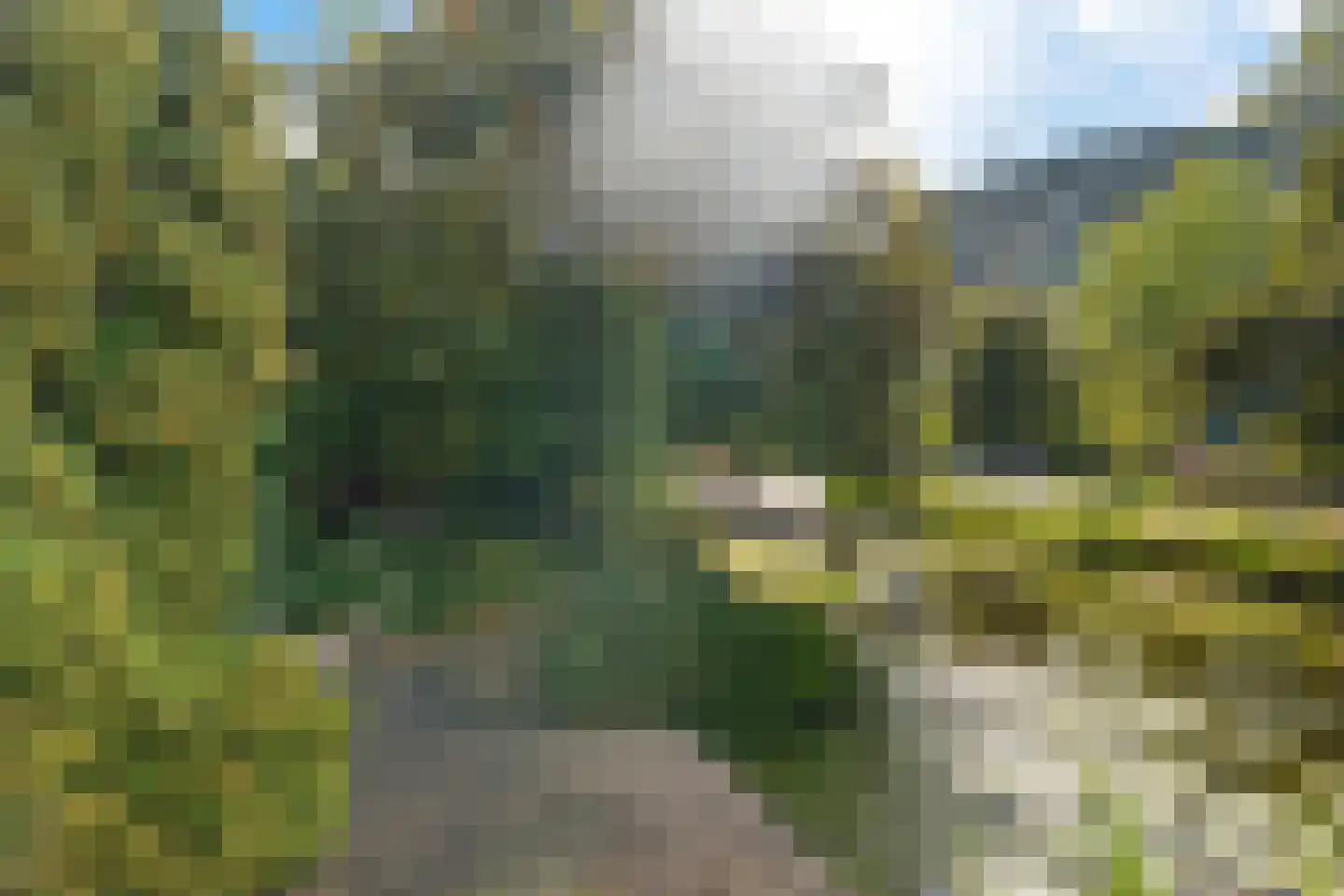 Voorweg 124 Zoetermeer thumbnail 31