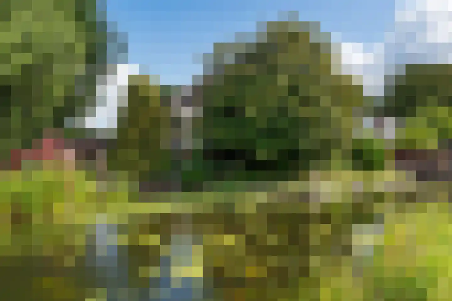 Voorweg 124 Zoetermeer thumbnail 33