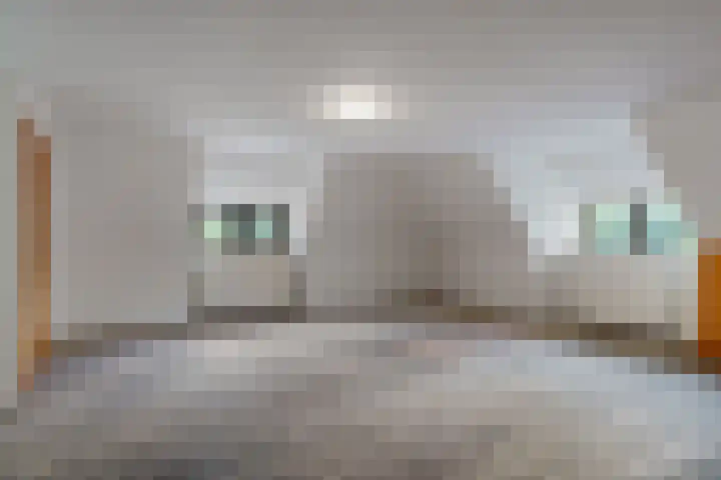 Voorweg 124 Zoetermeer thumbnail 36