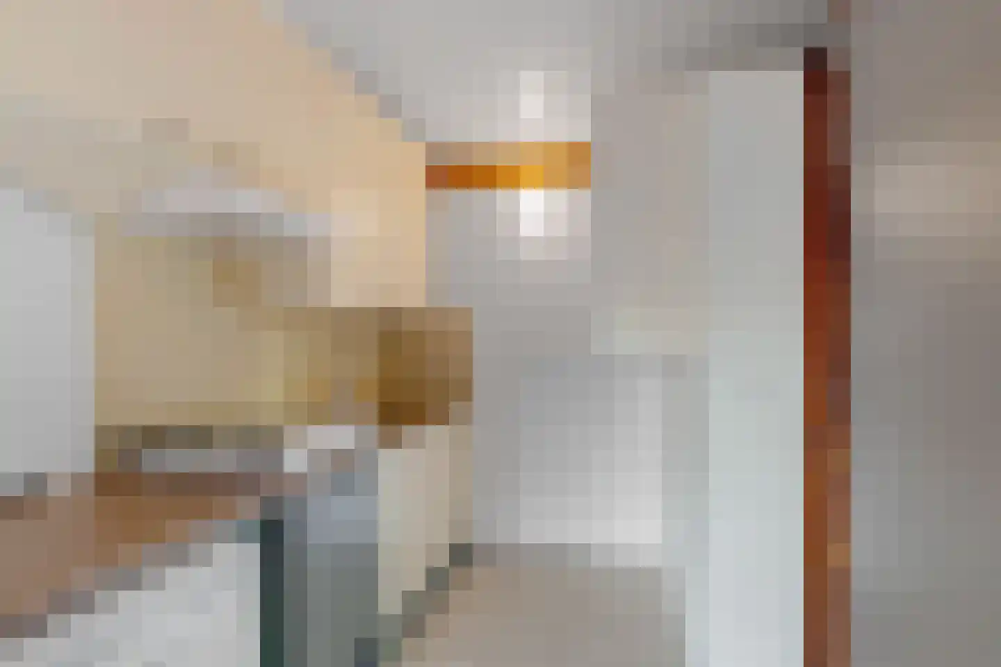 Voorweg 124 Zoetermeer thumbnail 58