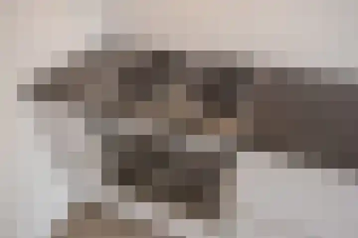 Voorweg 124 Zoetermeer thumbnail 65