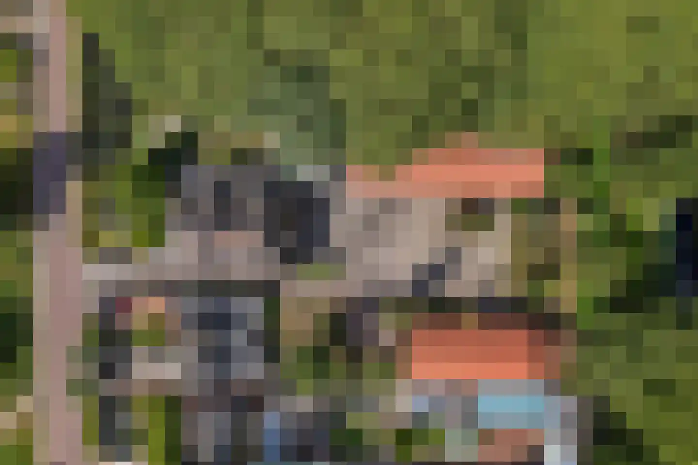 Voorweg 124 Zoetermeer thumbnail 68
