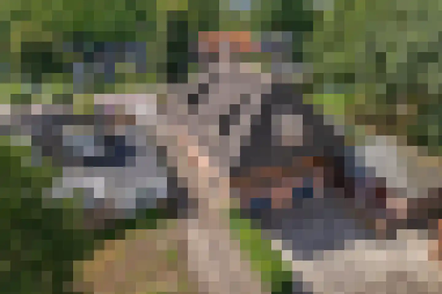 Voorweg 124 Zoetermeer thumbnail 69