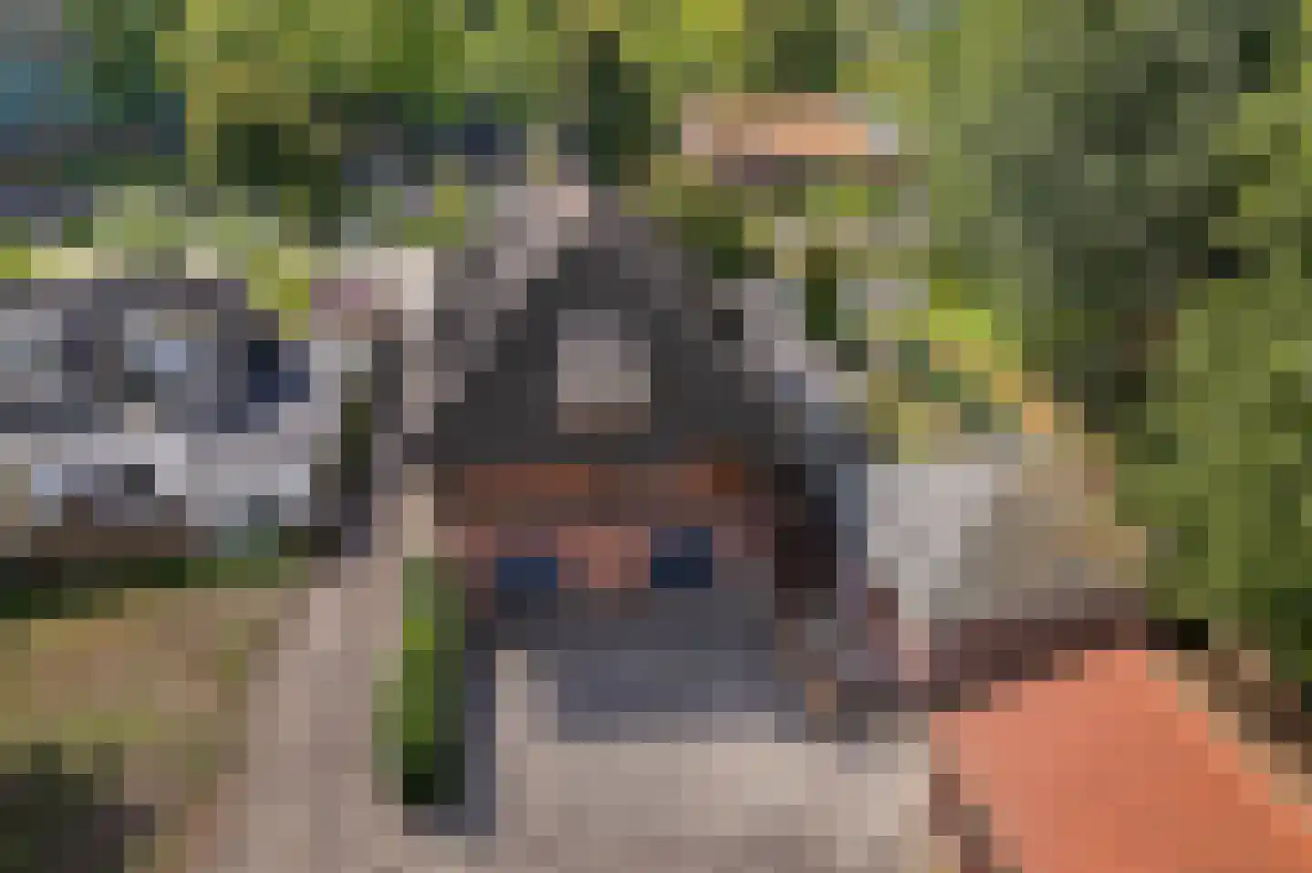 Voorweg 124 Zoetermeer thumbnail 70