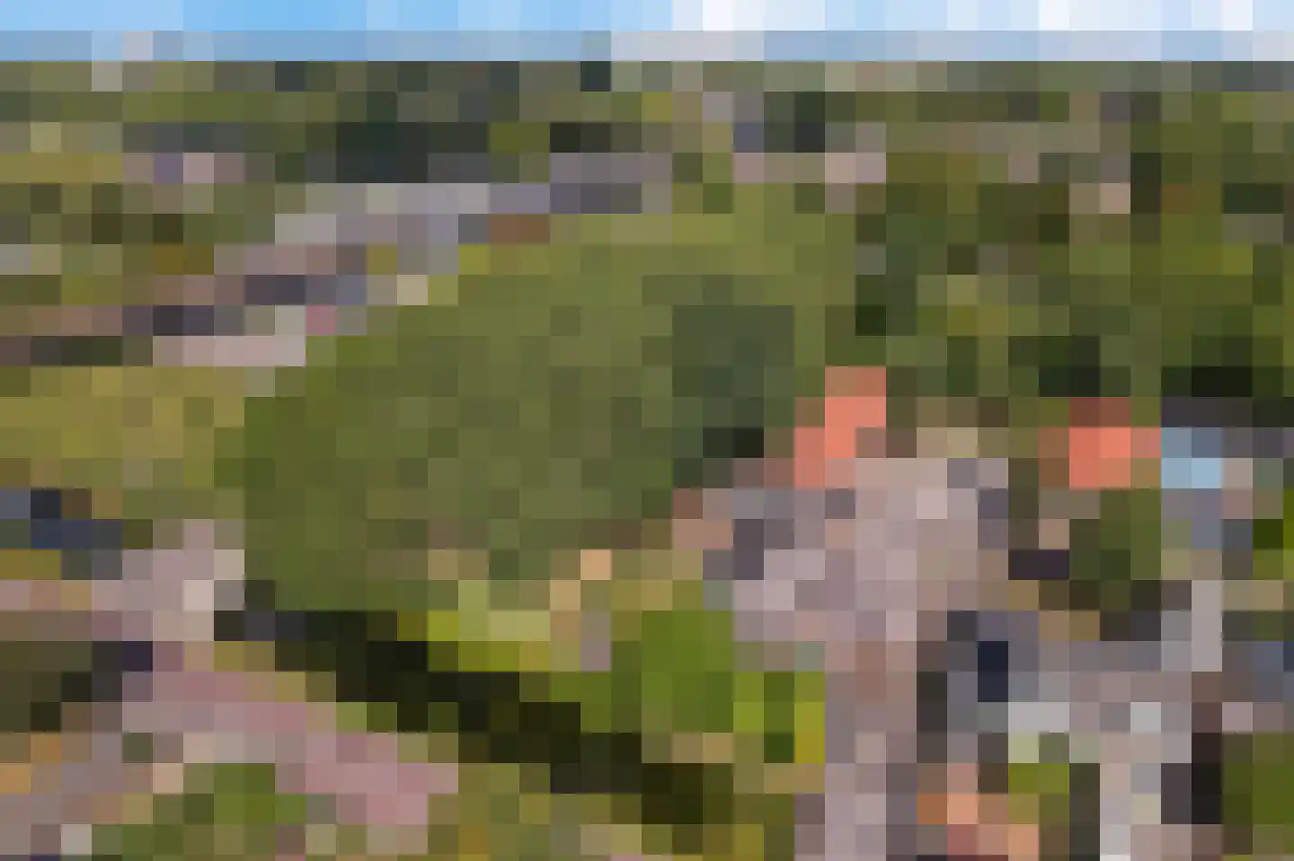 Voorweg 124 Zoetermeer thumbnail 71